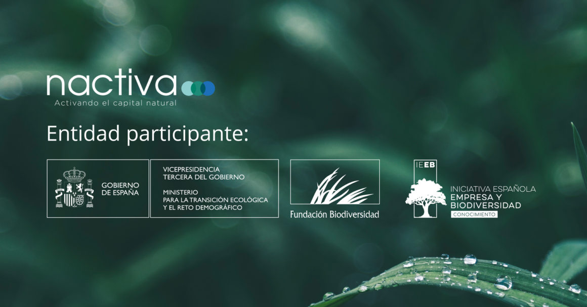 Fotografía integración Nactiva IEEB