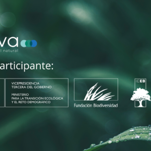 Fotografía integración Nactiva IEEB