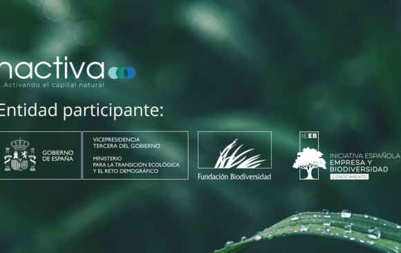 Fotografía integración Nactiva IEEB